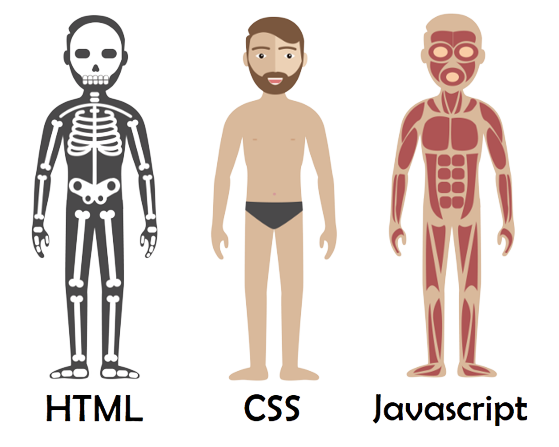 html css Javascript